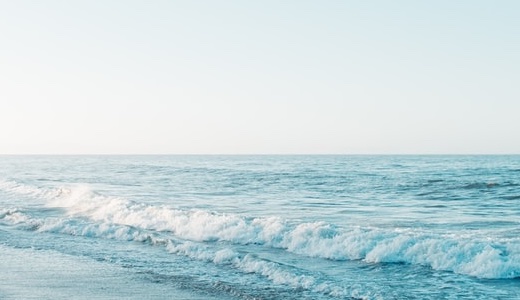 「レッドジョーカー先輩」の年齢＆身長・本名と高校も調査！